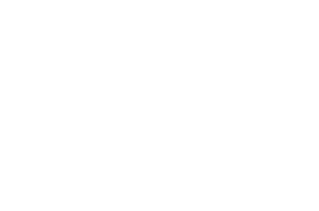 Outer Heaven Foundation
