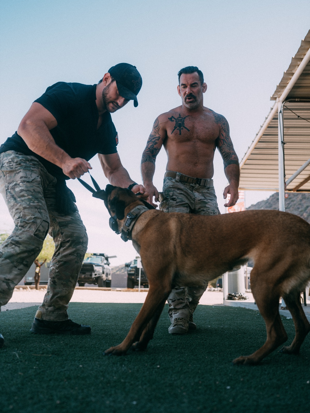 Belgian Malinois in working drive with Outer Heaven team